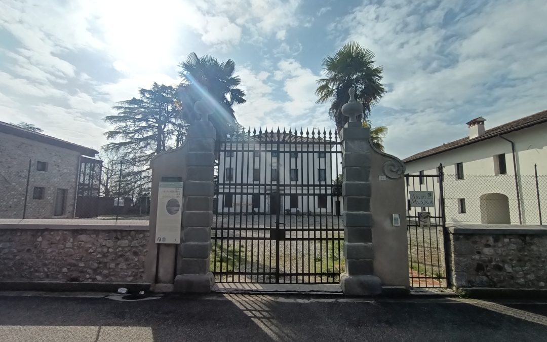 Bando di assegnazione alloggi a Villa Deciani (Villalta di Fagagna) – Scadenza manifestazione di interesse: 03 maggio 2024