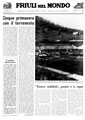 Friuli nel Mondo n. 319 maggio 1981